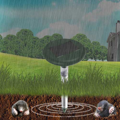 profesionalni tjerač krtica i voluharica